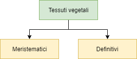 Classificazione dei tessuti vegetali
